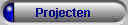 Projecten
